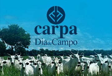 DIA DE CAMPO CARPA